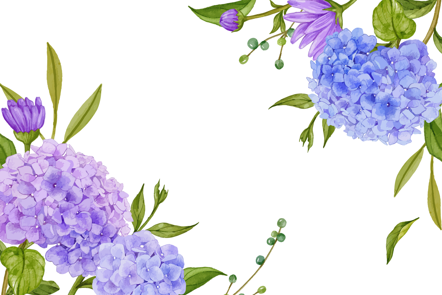 Hydrangea Flower Frame