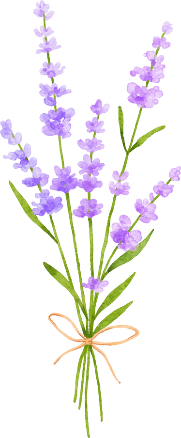 Watercolor Lavender Flower