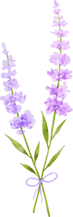 Watercolor Lavender Flower